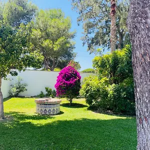 Brisa , Chiclana de la Frontera España